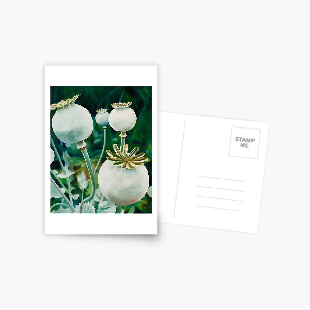 Item preview, Postcard designed and sold by jknowles.