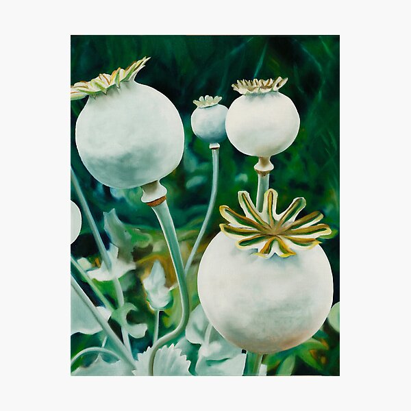 Photographic Print