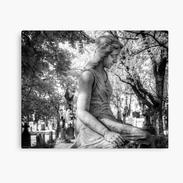 Witness Canvas Print
