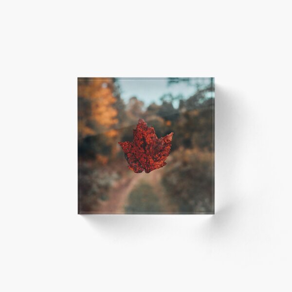 Suspended Leaf Acrylic Block