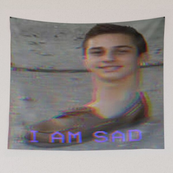 Item preview, I am sad you know I had to do it to em meme designed and sold by nickcosky.