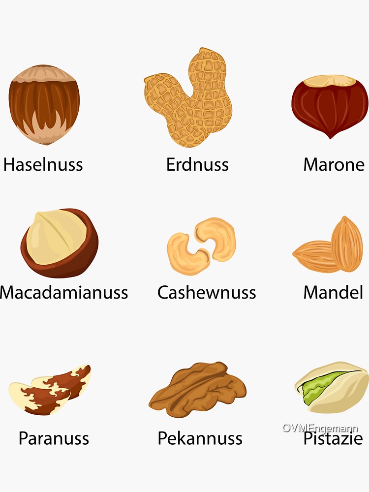 "nine types of nuts german design" Sticker by OVMEngemann Redbubble