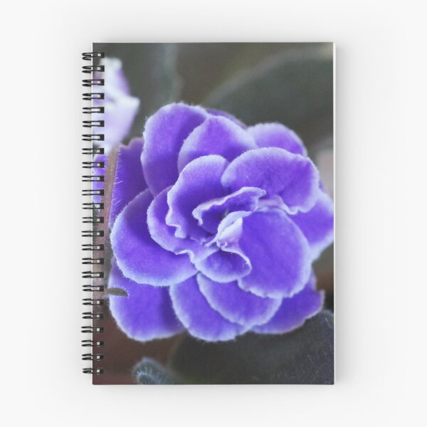 Item preview, Deep Purple African Violet designed and sold by rom01.