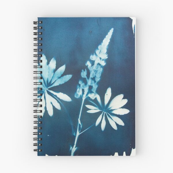 Item preview, Lupine Xray designed and sold by Studio Variatio.