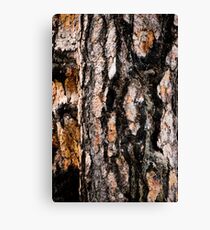 Abstract Wood Canvas Print