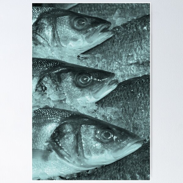 Item preview, Fish on the slab designed and sold by James1980.