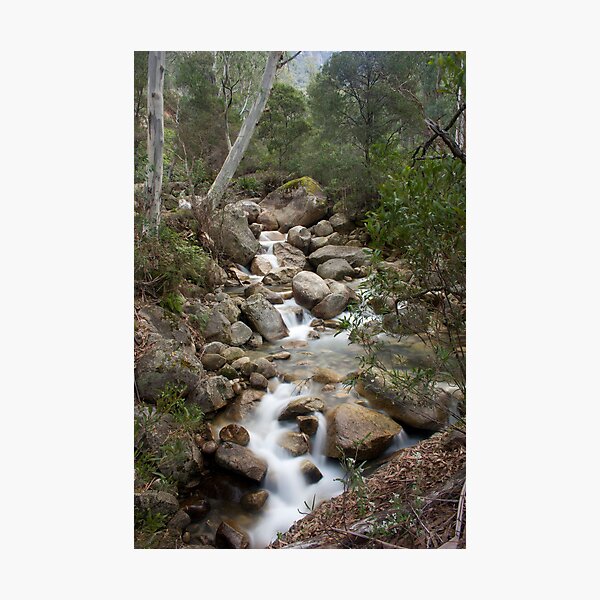Item preview, Eurobin Falls - Mount Buffalo National Park designed and sold by Timo Balk.