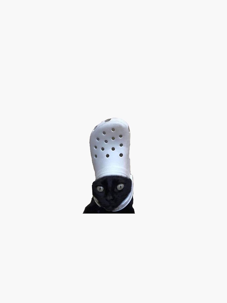 Cat Croc Meme funny | Sticker