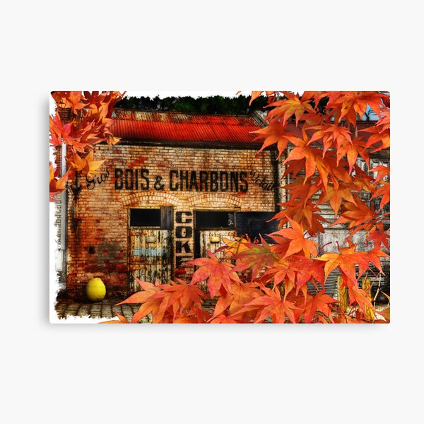 Bois and Charbons Canvas Print