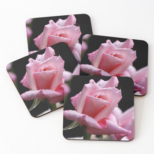 Item preview, "First Love" , captured in our garden with my Canon 40D designed and sold by Rosehaven.