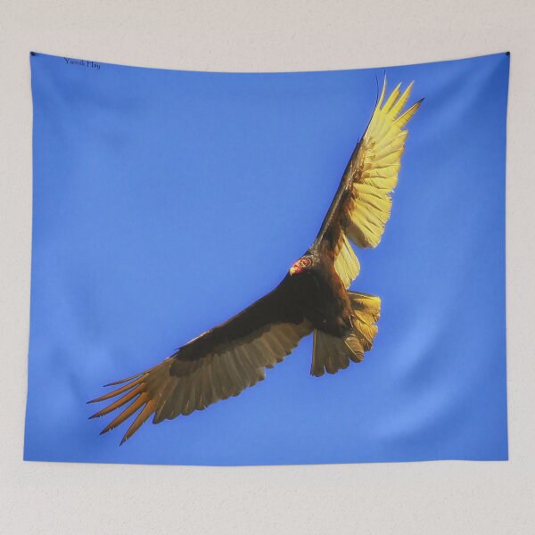 Item preview, Turkey Vulture - Urubu à Tête Rouge designed and sold by Yannik Hay.