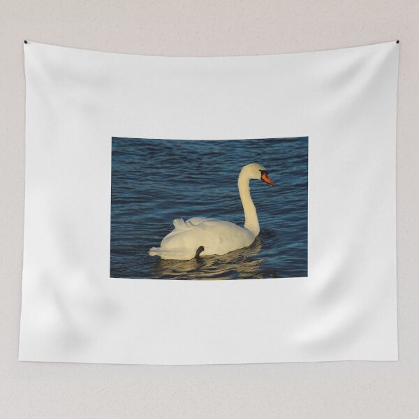 Item preview, Mute Swan designed and sold by ellenmpics.