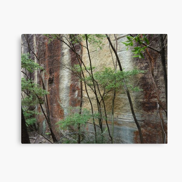 Girl in the rock - Wollemi National Park Canvas Print