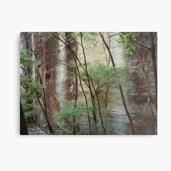 Girl in the rock - Wollemi National Park Metal Print