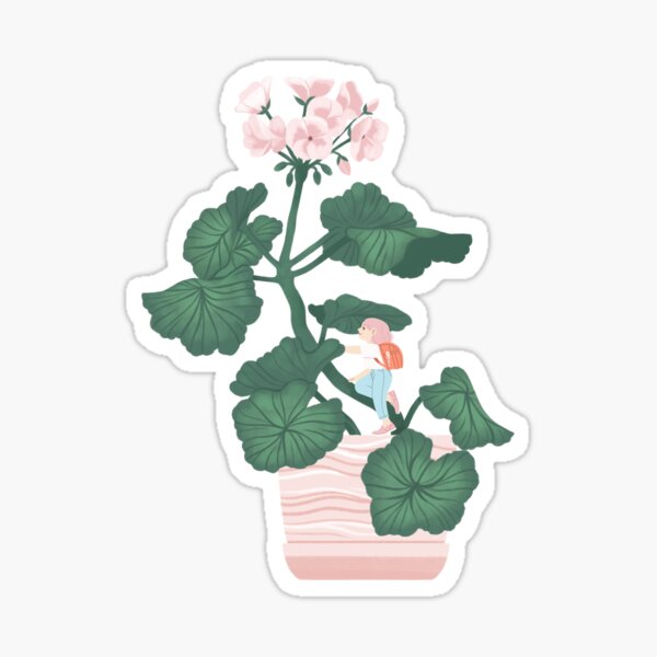 Climbing Sticker