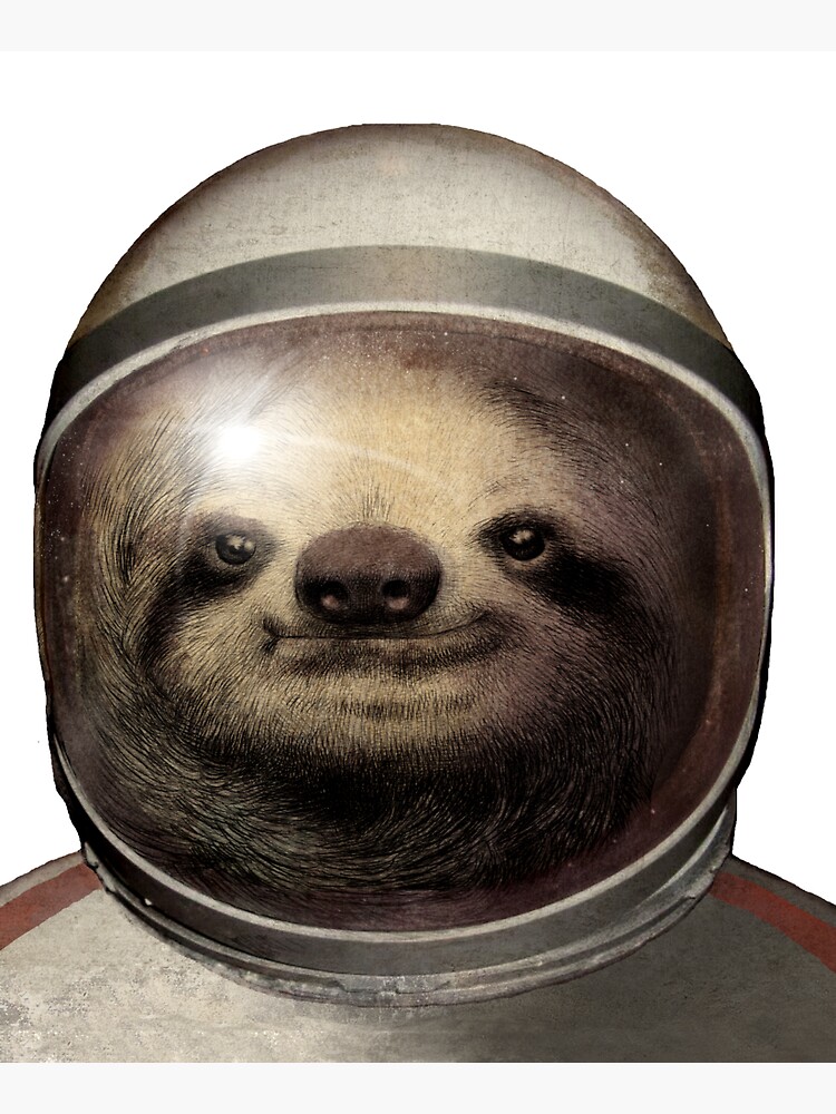 Space Sloth by opifan
