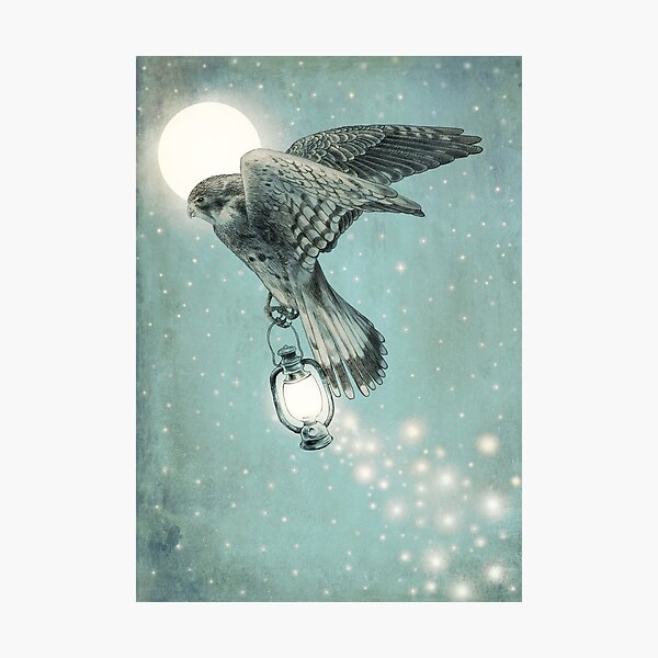 Nighthawk (portrait format) Photographic Print