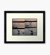 Sploosh! Framed Print