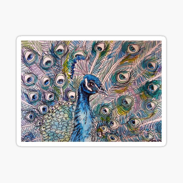 Peacock Watercolor Painting and Ink Art Sticker