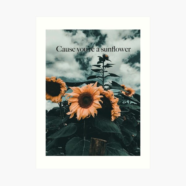 Post Malone /& Swae Lee//Sunflower Lyrics INSPIRED Poster//Print