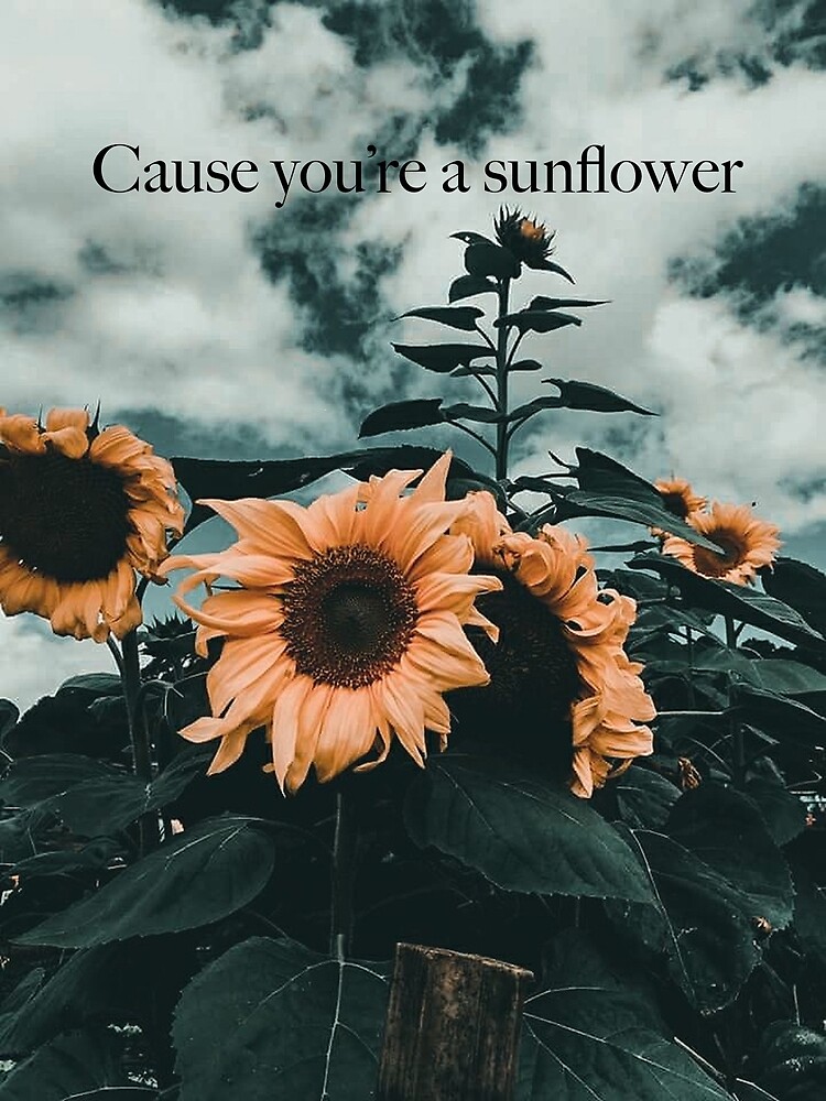 post malone sunflower poster