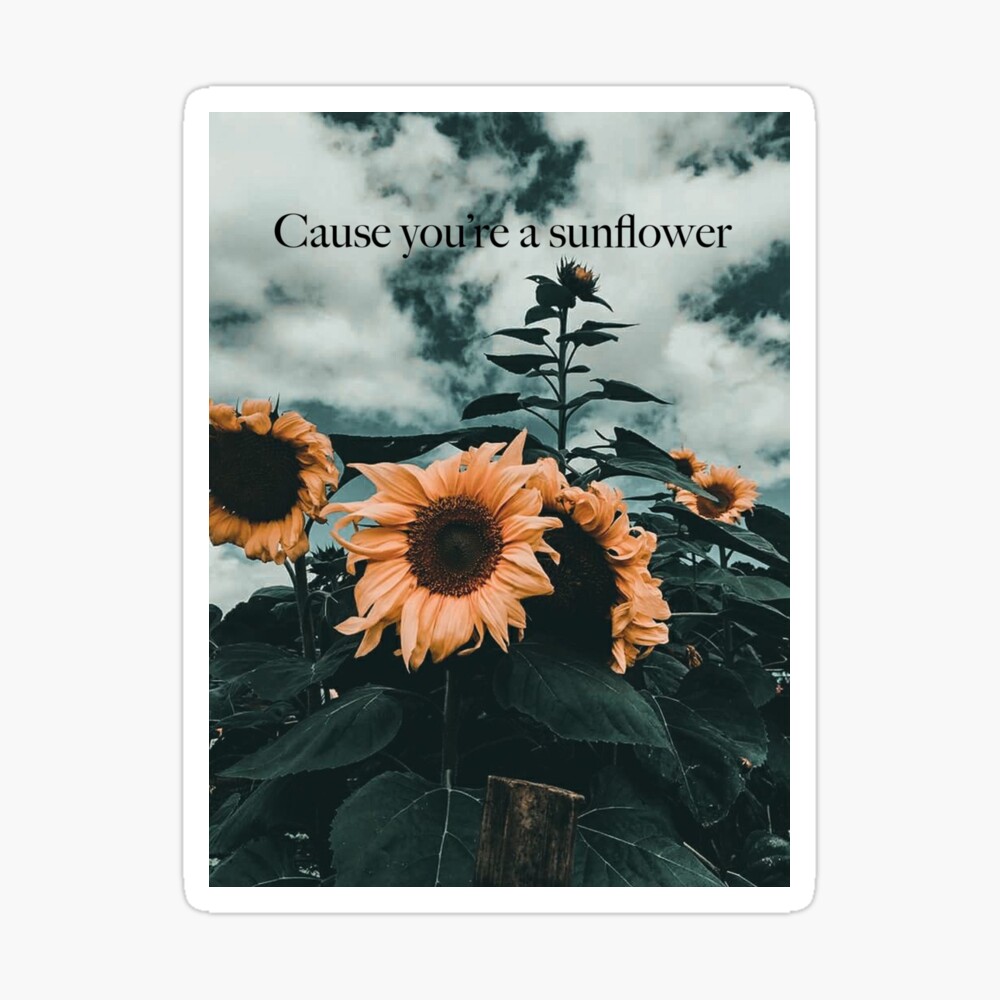 post malone sunflower sticker