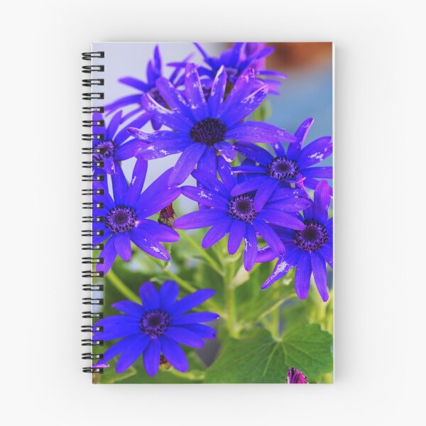 Item preview, Pretty in Blue designed and sold by Larry Trupp.