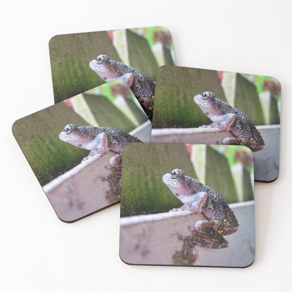 Item preview, treefrog aspirations designed and sold by foozma73.