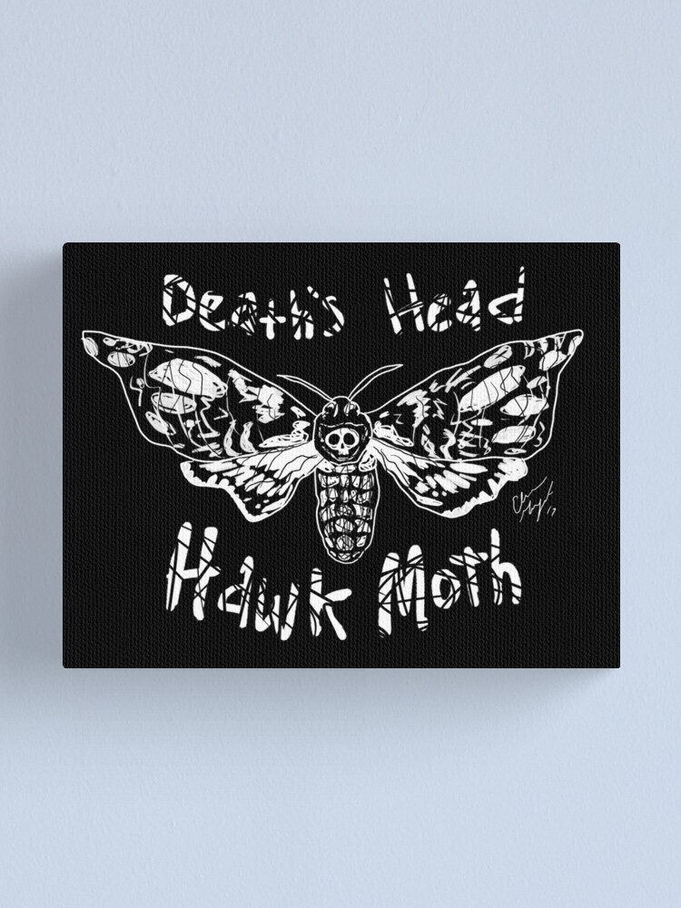 Alternate view of Death’s Head Hawk Moth Canvas Print