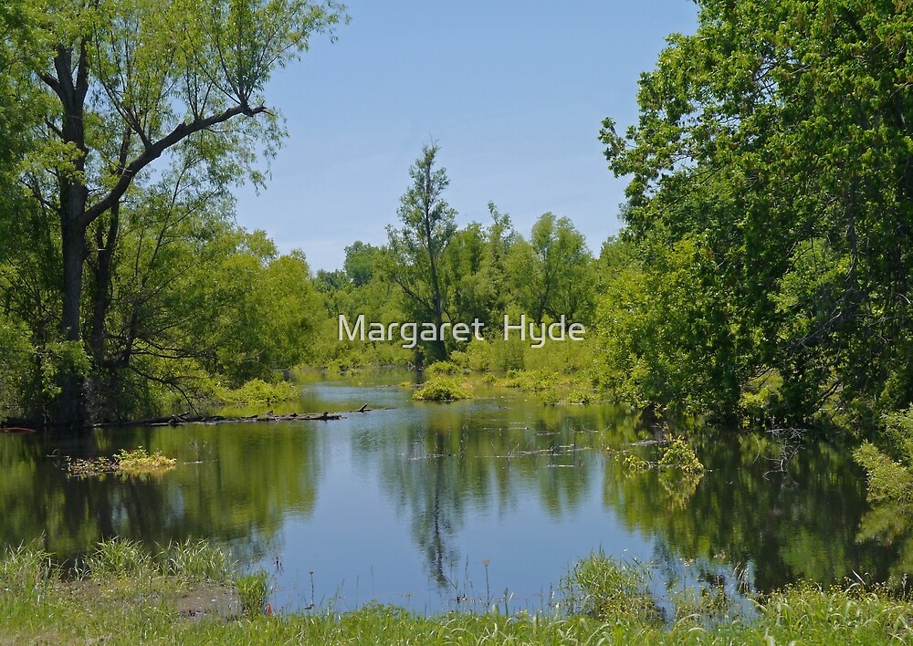 "Horseshoe Lake, Illinois, USA, 2" by Margaret Hyde Redbubble