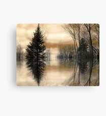 "Mirror" Canvas Print