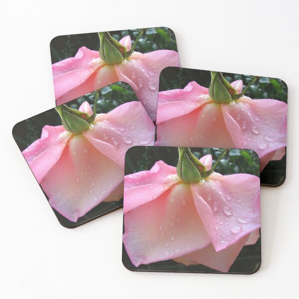 Item preview, Peachy-Pink Rose After Rain designed and sold by Kathryn Jones.