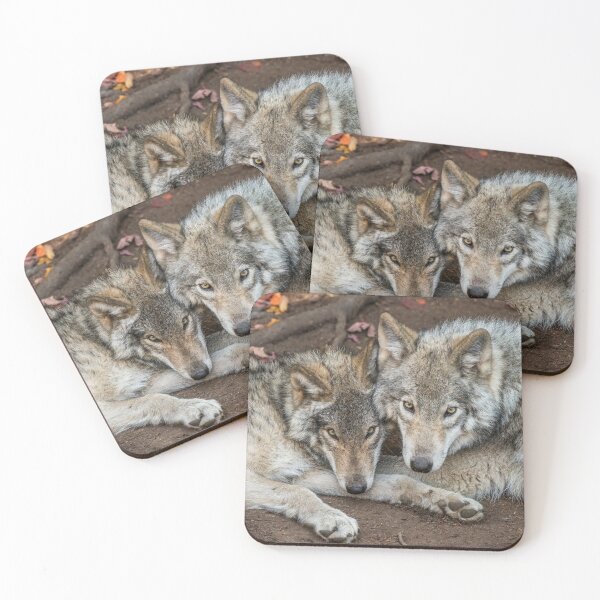 Item preview, Timber Wolves designed and sold by Michael Cummings.