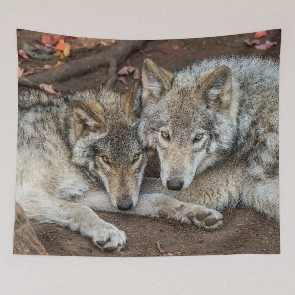 Item preview, Timber Wolves designed and sold by Michael Cummings.