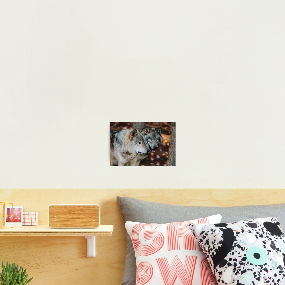 Item preview, Photographic Print designed and sold by jaydee1400.