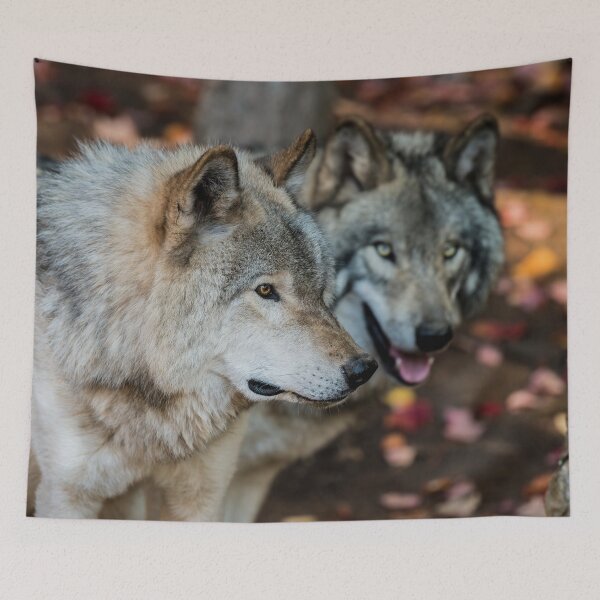 Item preview, Timber Wolves designed and sold by Michael Cummings.