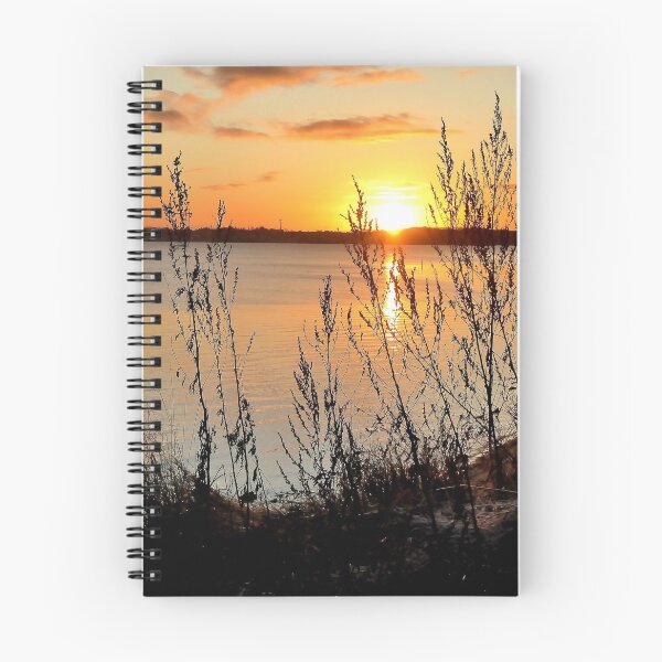 Item preview, Back from the Baltic Sea 2019 designed and sold by jchanders.