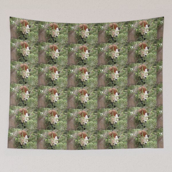 Item preview, Red Panda having a Bamboo Snack, Canberra Zoo, Canberra, ACT,Australia.. designed and sold by kaysharp.