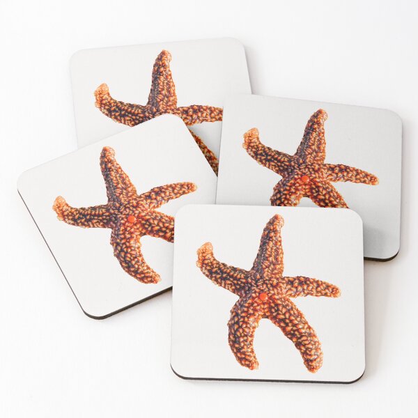 Item preview, Starfish designed and sold by Zina Stromberg.