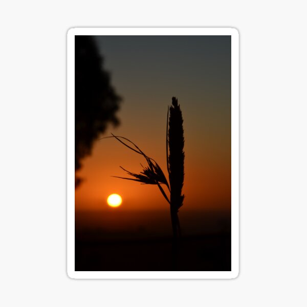 Item preview, Morning awakening designed and sold by Penny Heighes.