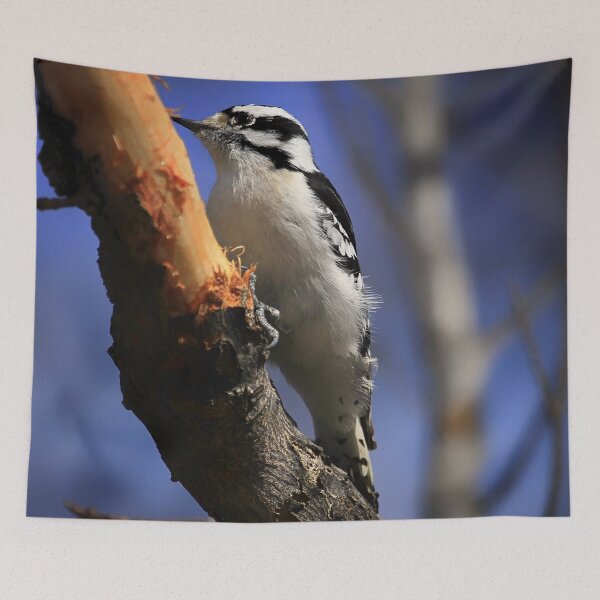 Item preview, Downy Woodpecker designed and sold by Yannik Hay.