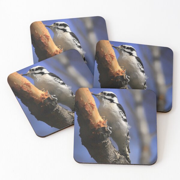 Item preview, Downy Woodpecker designed and sold by Yannik Hay.