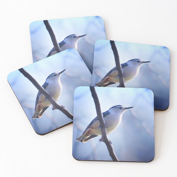 Item preview, Nuthatch designed and sold by Yannik Hay.