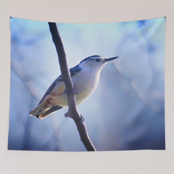 Item preview, Nuthatch designed and sold by Yannik Hay.