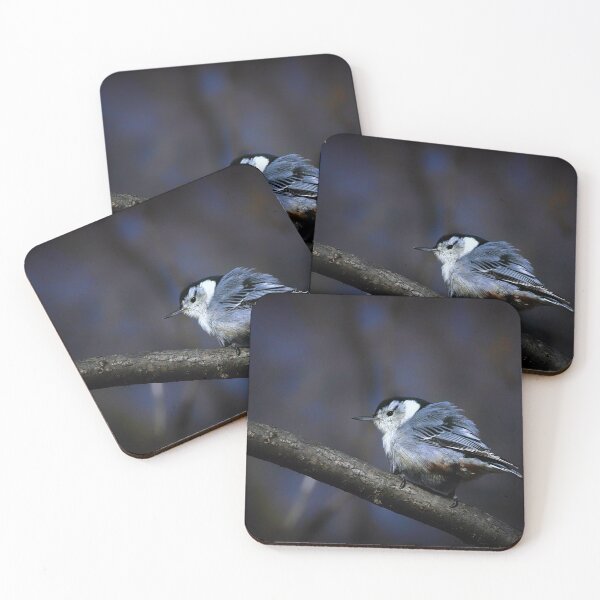 Item preview, Nuthatch designed and sold by Yannik Hay.