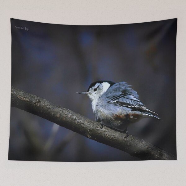 Item preview, Nuthatch designed and sold by Yannik Hay.