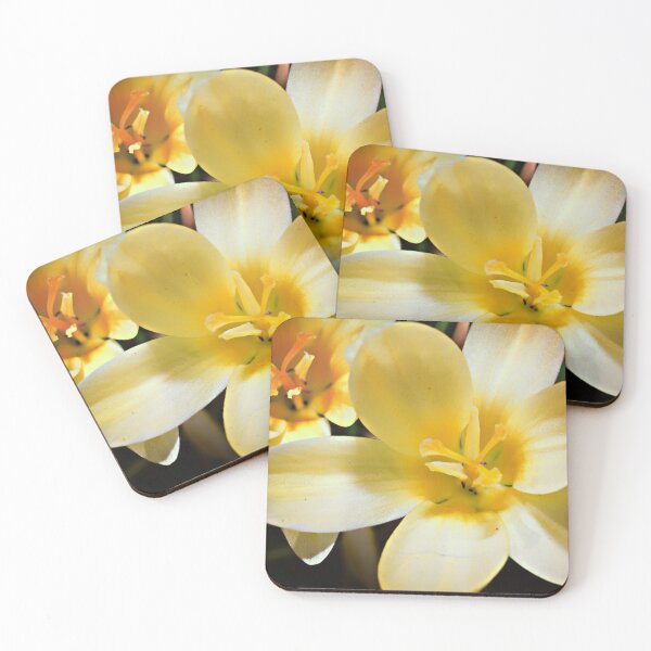 Item preview, First Blooms (Crocus) designed and sold by Yannik Hay.