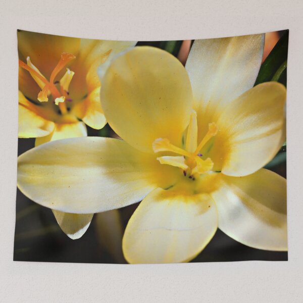 Item preview, First Blooms (Crocus) designed and sold by Yannik Hay.