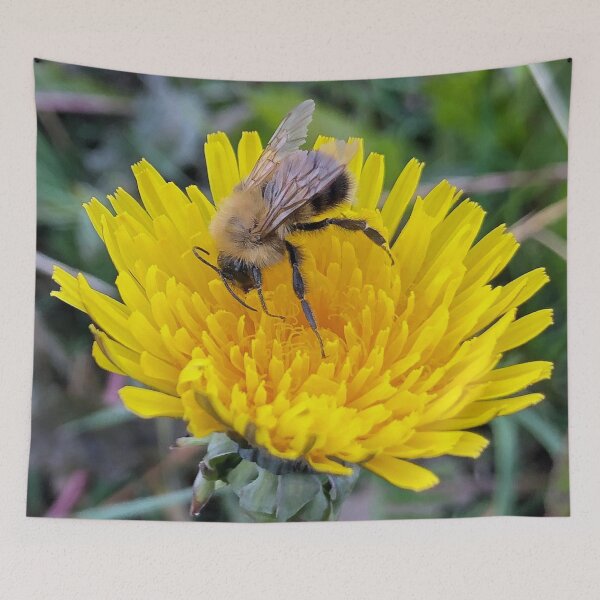 Item preview, Buddy Bee 1 designed and sold by NorthernExposed.