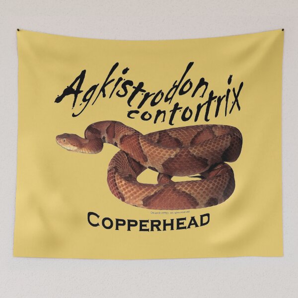 Item preview, Copperhead Snake - Agkistrodon contortrix designed and sold by 28TEES.
